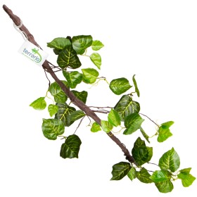 Terrario Hanging Ivy 80 cm